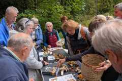 Pilzwanderung