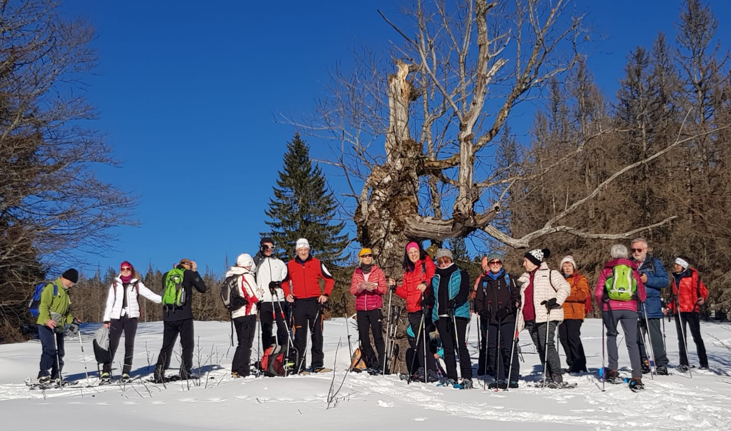 Mehr über den Artikel erfahren Sonne satt bei Schneeschuhtour des Wald-Vereins der Sektion Zwiesel, auf den Lindberger Schachten