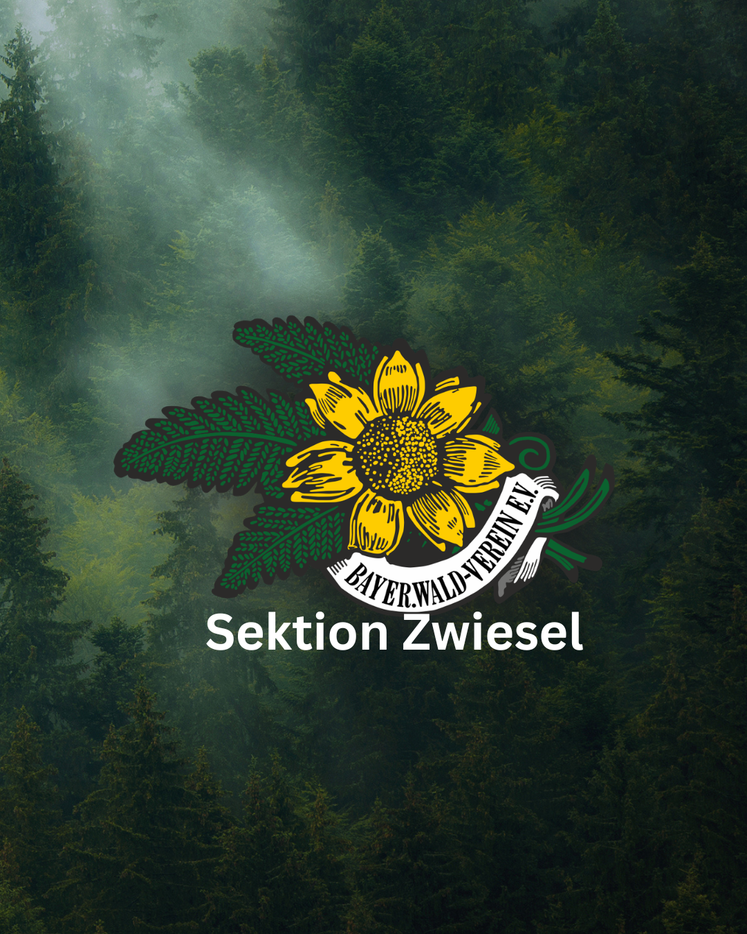 Du betrachtest gerade Wanderweg durch das Höllbachgespreng gesperrt ab 13.02.2026